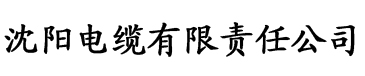 小村长的幸福生活电缆厂logo